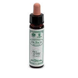 AINSWORTHS VINE 10ML