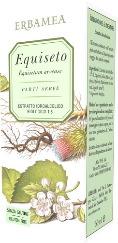 Equiseto PARTI AEREE ESTRATTO IDROALCOLICO BIOLOGICO 50 ml