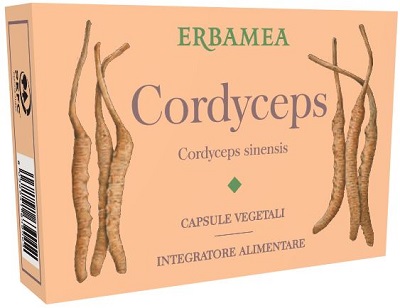 CORDICEPS 24 cps